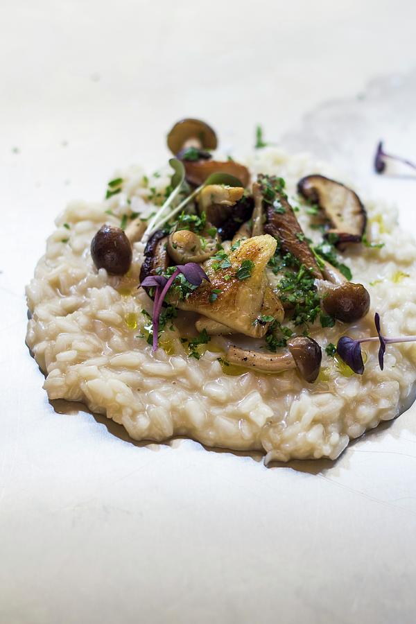 Forest Mushroom Risotto Photograph by Vulman Pter