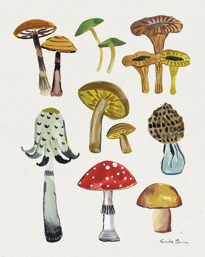 Mushroom Painting - Forest Mushrooms II by Farida Zaman