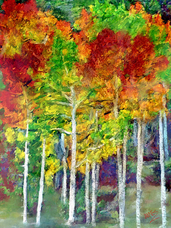 Forest of Dreams by James Shepherd Forest of Dreams by James Shepherd