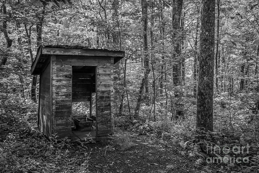 Forest Outhouse Photograph by Tom Claud