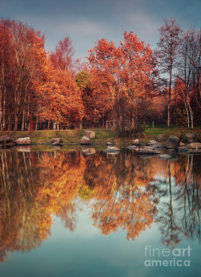 Forest park pond in autumn Photograph by Sophie McAulay