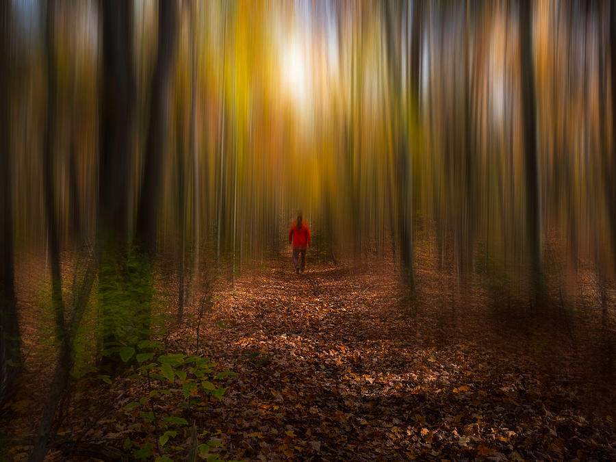 Creative Edit Photograph - Forest Path by Pierre Desautels