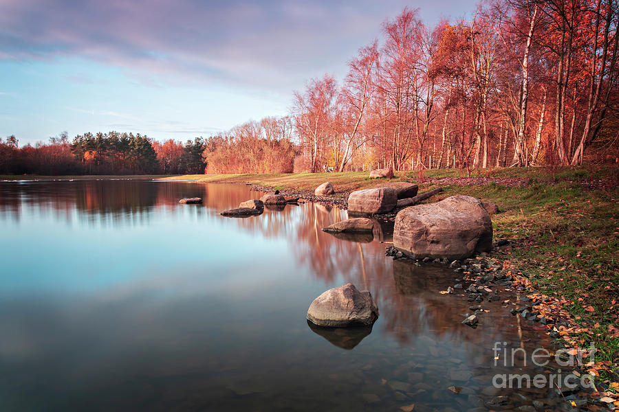 Forest pond in autumn Photograph by Sophie McAulay