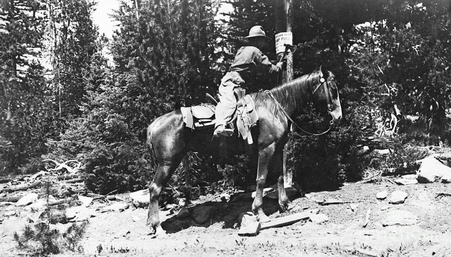 Forest Ranger On Horseback Photograph by Bettmann