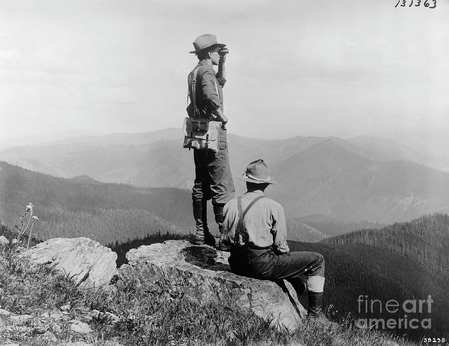 Forest Rangers On Lookout For Forest Photograph by Bettmann