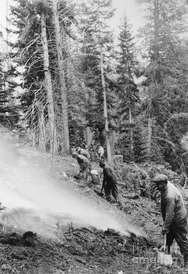 Forest Rangers On The Fire Line Photograph by Bettmann