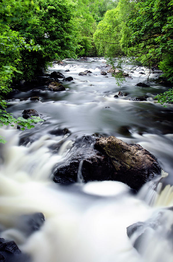 Forest River In Long Exposure Photograph by Funky-data