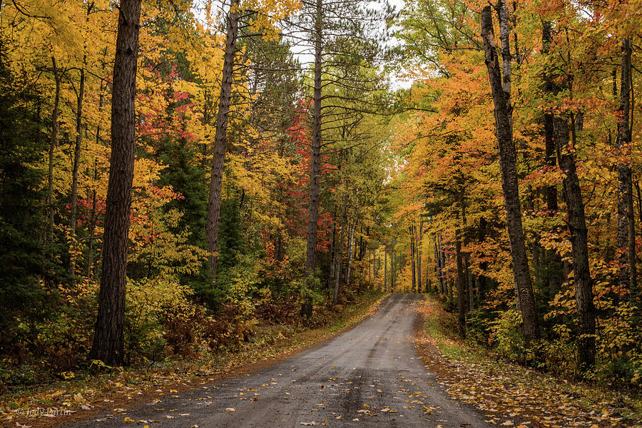 Forest Roads Photograph by Jody Partin