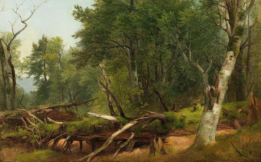 Forest Scene In The Catskills Painting by Asher Brown Durand - Fine Art ...