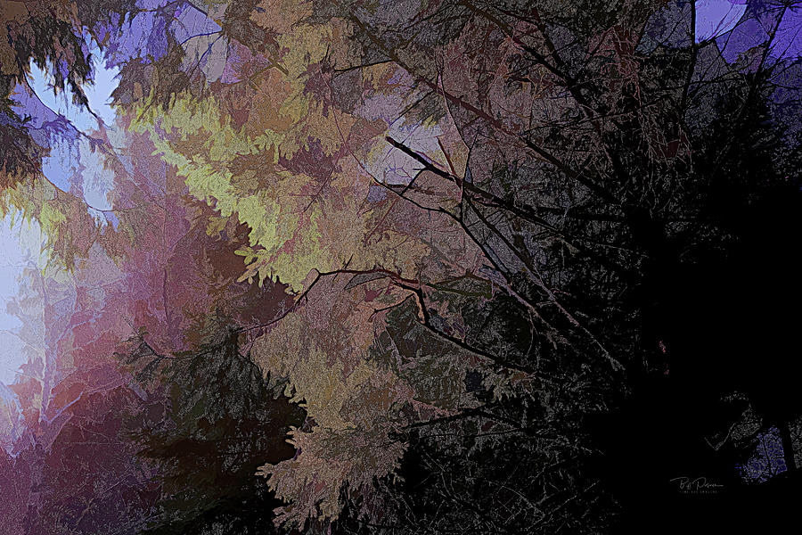 Forest Squint by Bill Posner Forest Squint by Bill Posner
