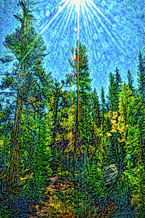 Forest Sunlit Grace Digital Art by Joel Bruce Wallach