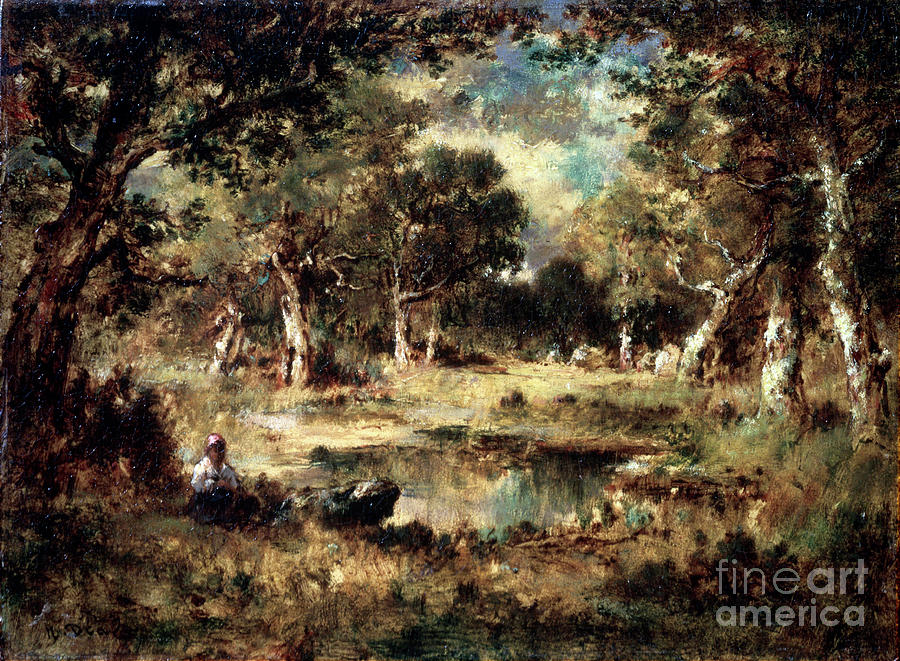 Forest Swamp, 1870. Artist Narcisse Drawing by Heritage Images