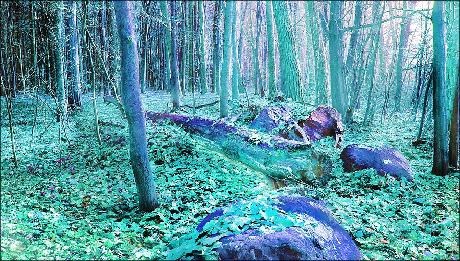 Magic Photograph - Forest Tale #19 by Slawek Aniol