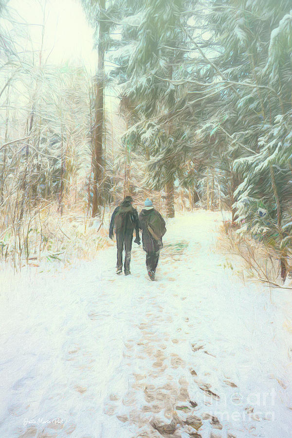 Forest Walk in Winter Photograph by Jutta Maria Pusl