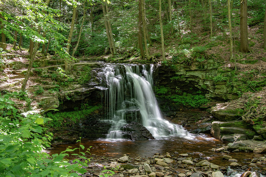 Forest Waterfall Photograph by Rose Guinther