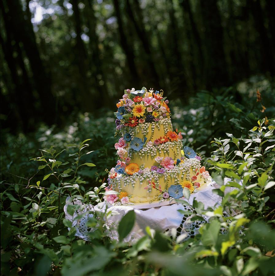 Forest Wedding Cake Photograph by Cooke, Colin