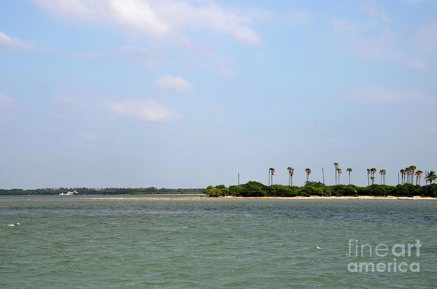 Forested tropical beach with coral and blue sky Jaffna Peninsula Sri Lanka Photograph by Imran Ahmed