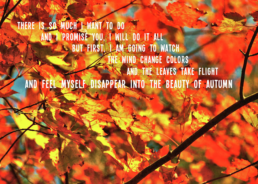 FOREVER AUTUMN quote Photograph by Jamart Photography