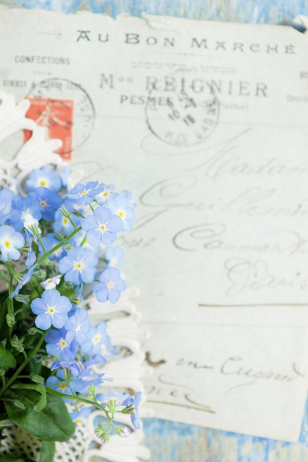 Forget-me-nots In Front Of Old Letter Written In French Photograph by Bildhbsch