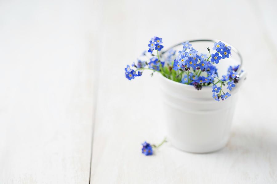 Forget-me-nots In Small Ceramic Bucket Photograph by Mandy Reschke
