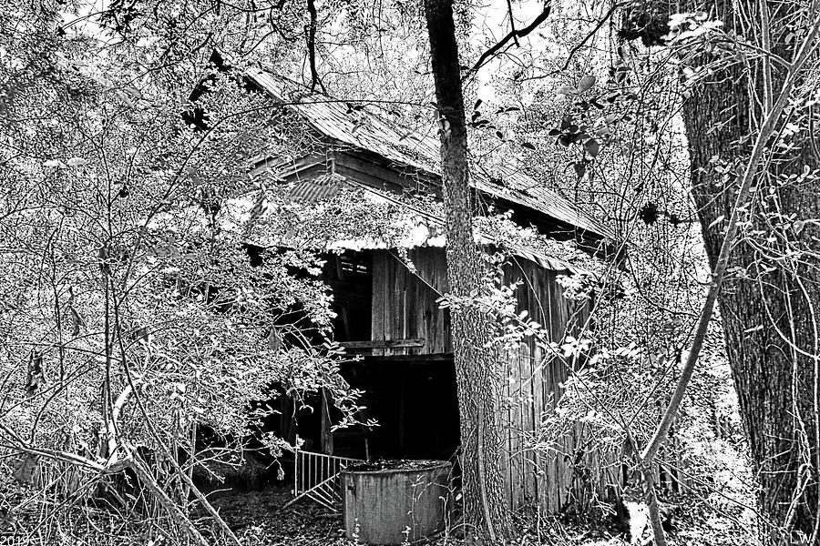Forgotten Barn Black And White Photograph by Lisa Wooten