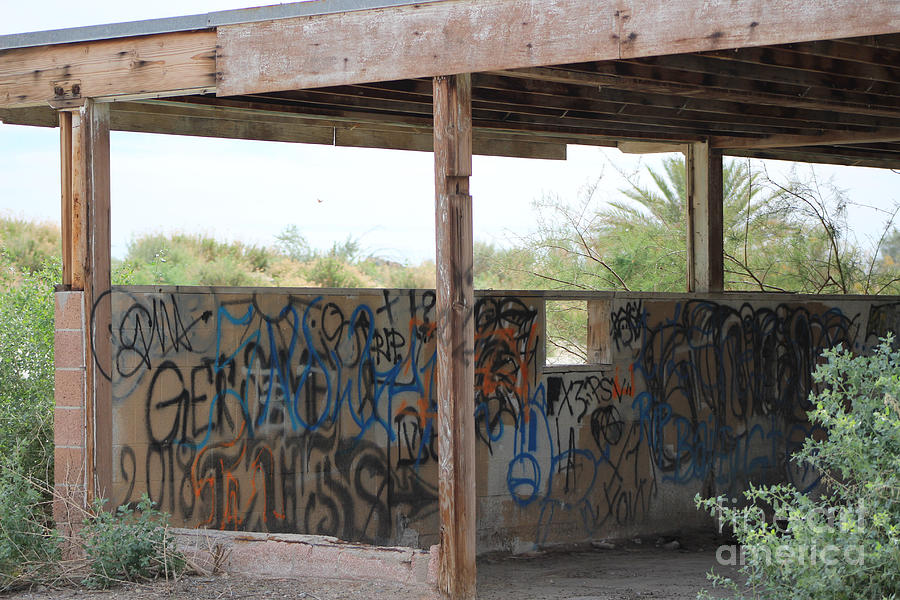 Forgotten Building Covered in Graffiti Salton Sea Photograph by Colleen Cornelius