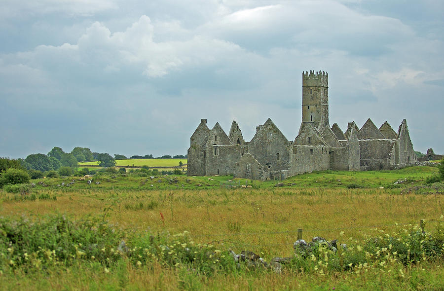 Forgotten Castle Ireland Photograph by Mark Duehmig