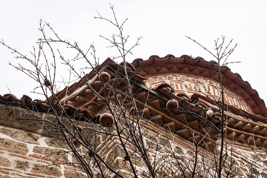 Forgotten Fruit - Pomegranates and Byzantine Church Fabulous Brickwork Photograph by Georgia Mizuleva