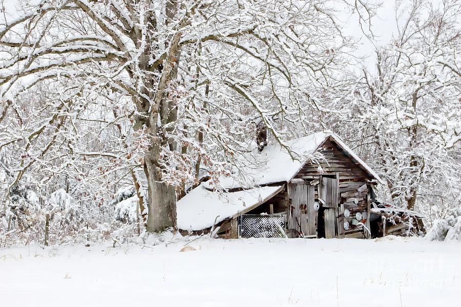 Forgotten Winter Barn Photograph by Benanne Stiens