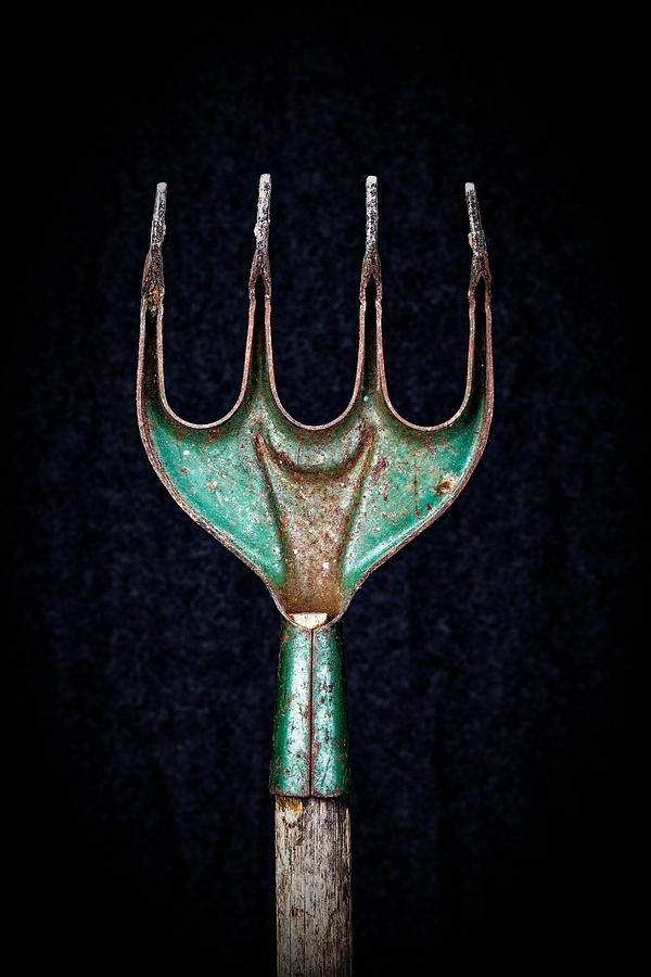 Fork Photograph by Rudy Umans