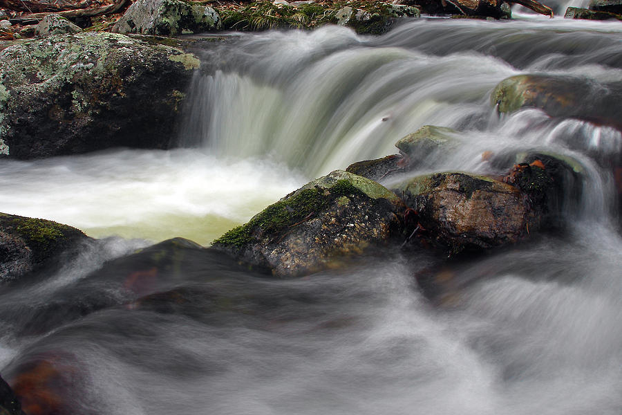 Forked Brook Fall by Dawn J Benko Forked Brook Fall by Dawn J Benko