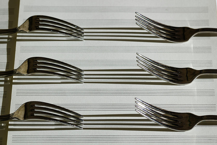 Still Life Photograph - Forks With Shadows by Robert Alsop