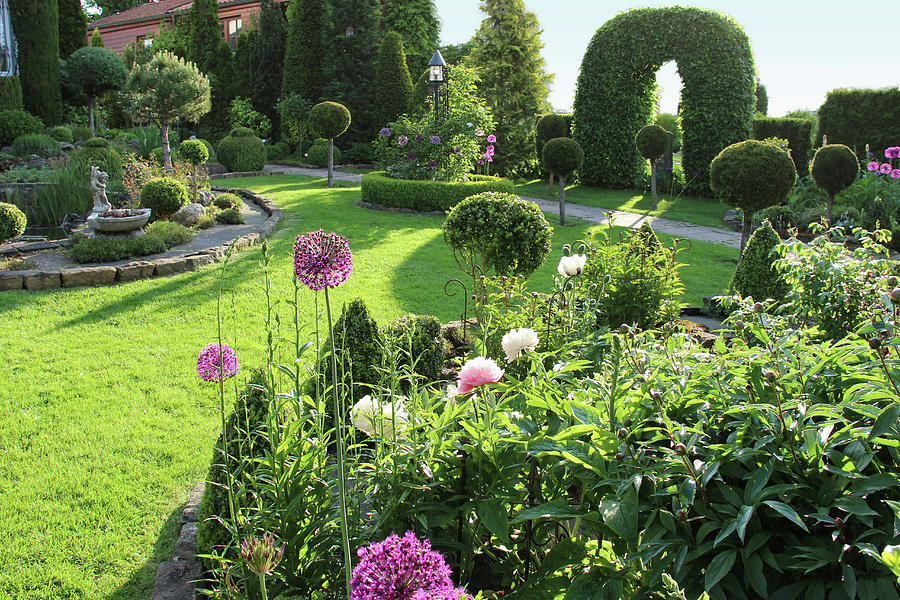 Formal Garden With Topiary Trees And Ornamental Onion Photograph by Domingo Vazquez