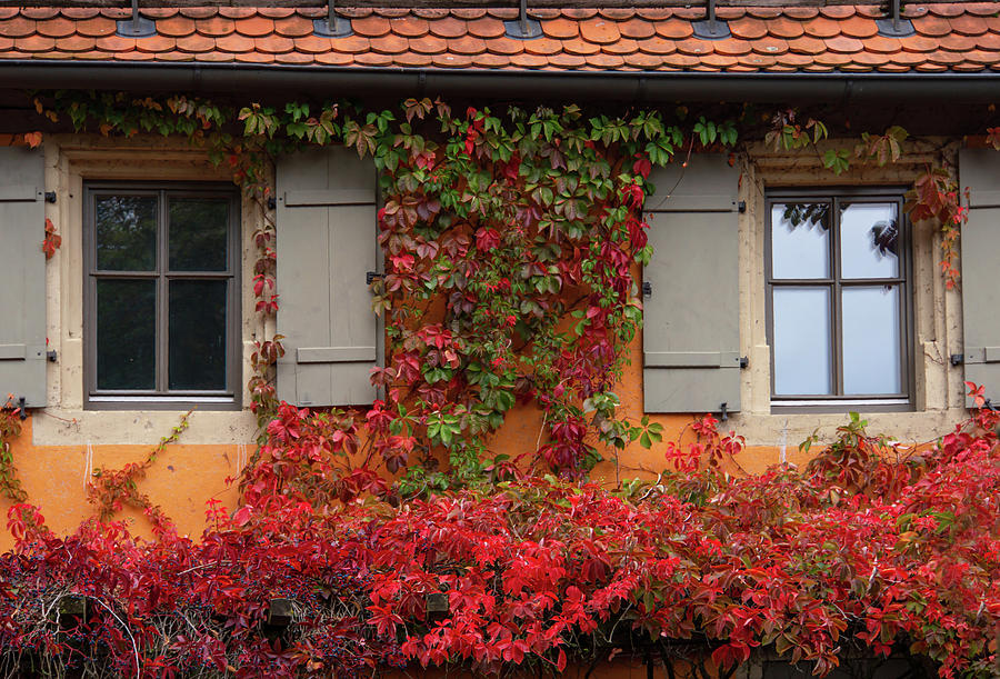 Former Gardener House of Rothenburg Castle Gardens 2 Photograph by Jenny Rainbow