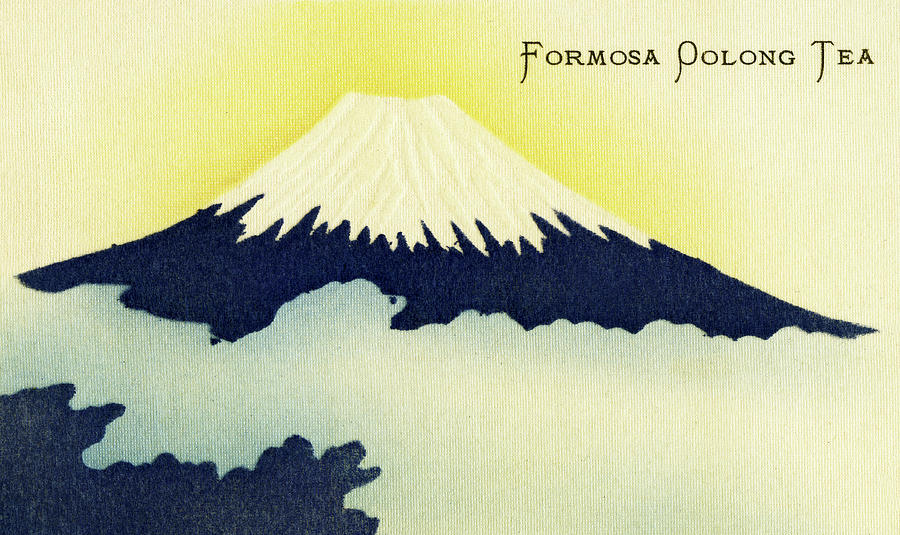 Formosa Oolong Tea Painting by Unknown