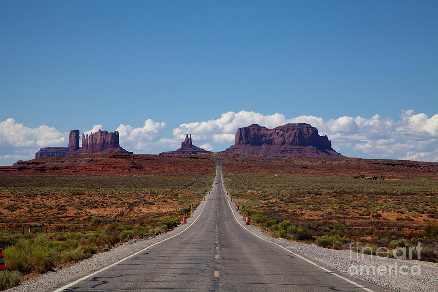 Forrest Gump Road Photograph by Elizabeth Maher - Pixels