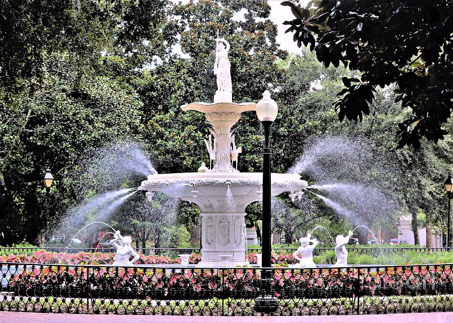 Forsyth Fountain Image No. 7189 Photograph