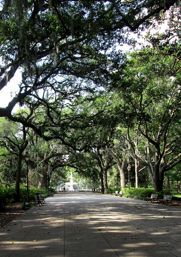 Forsyth Park Photograph Photograph by Kimberly Walker