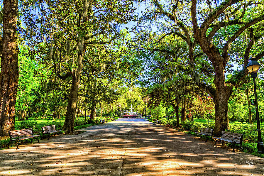 Forsyth Park Savannah Photograph by Gestalt Imagery