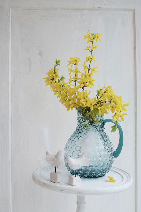 Forsythia In Glass Jug And Bird Figurines Photograph by Patsy&christian