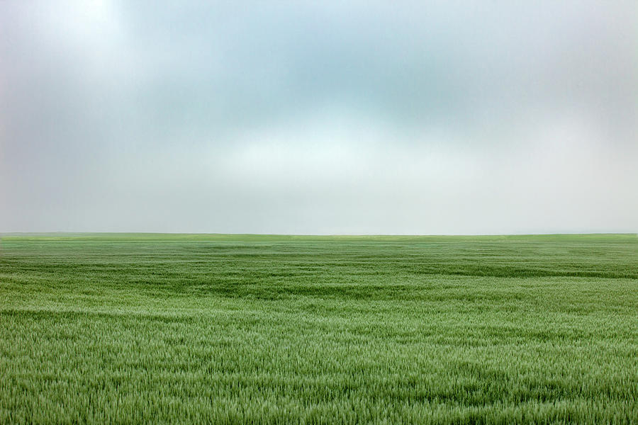 Landscape Photograph - Fort Benton Wheat by Todd Klassy