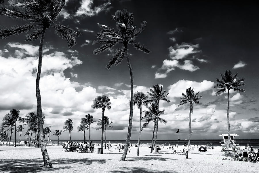 Fort Lauderdale Beach Park Photograph by John Rizzuto