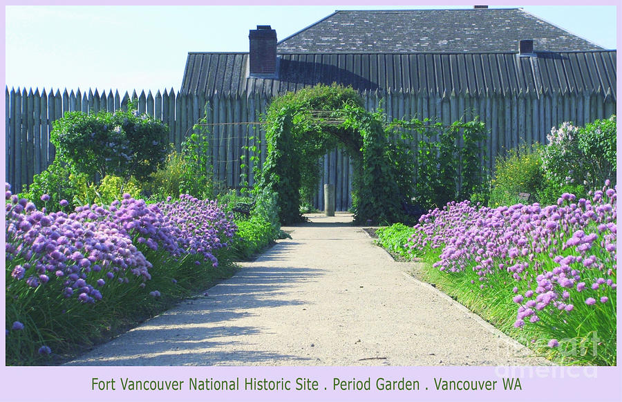 Fort Vancouver NHS Period Garden Photograph by Rich Collins