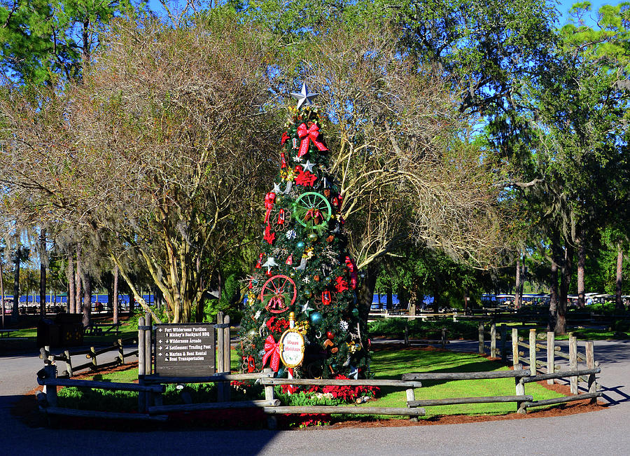 Fort Wilderness Campgound Christmas tree Photograph by David Lee Thompson