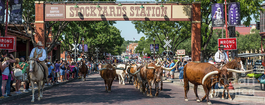 Fort Worth Stockyard Pano 2 Photograph by Bee Creek Photography - Tod and Cynthia