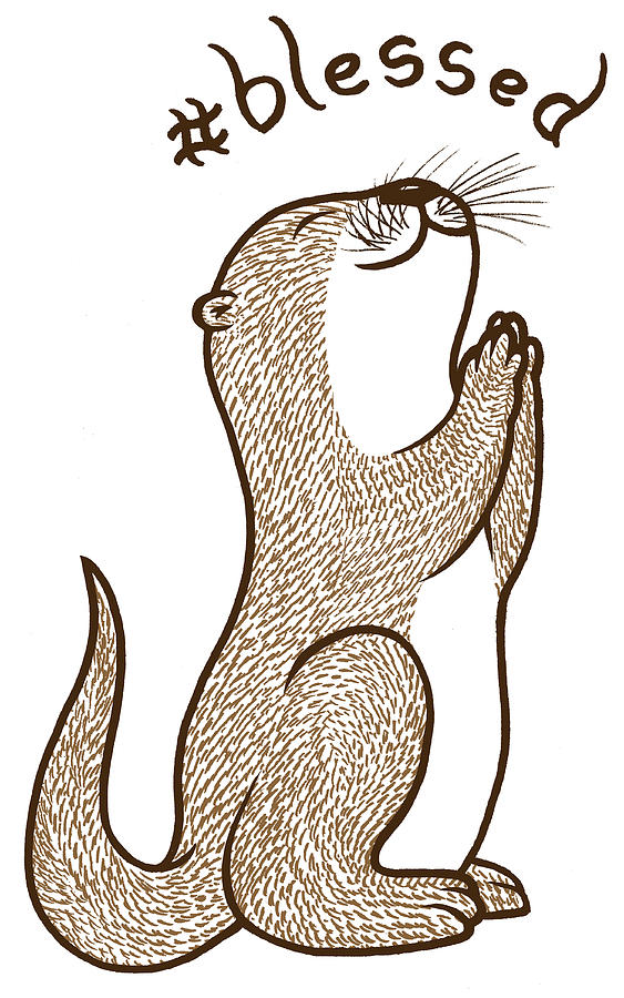 Animal Photograph - Fortunate Otter by Steven Wilson