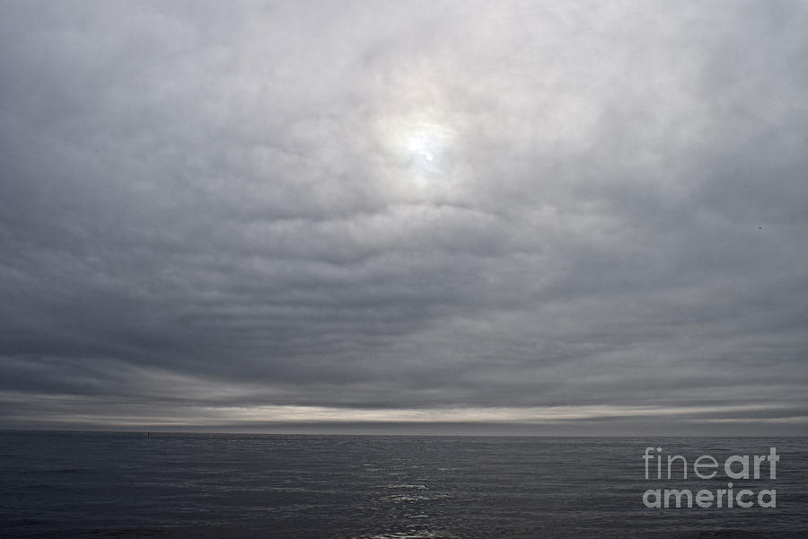 Forty Shades of Grey  Photograph by Debra Banks