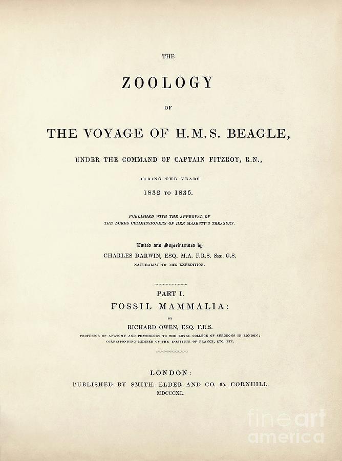 fossil Mammals (1840) From Darwins Beagle Voyage Photograph by Library Of Congress, Rare Book And Special Collections Division/science Photo Library