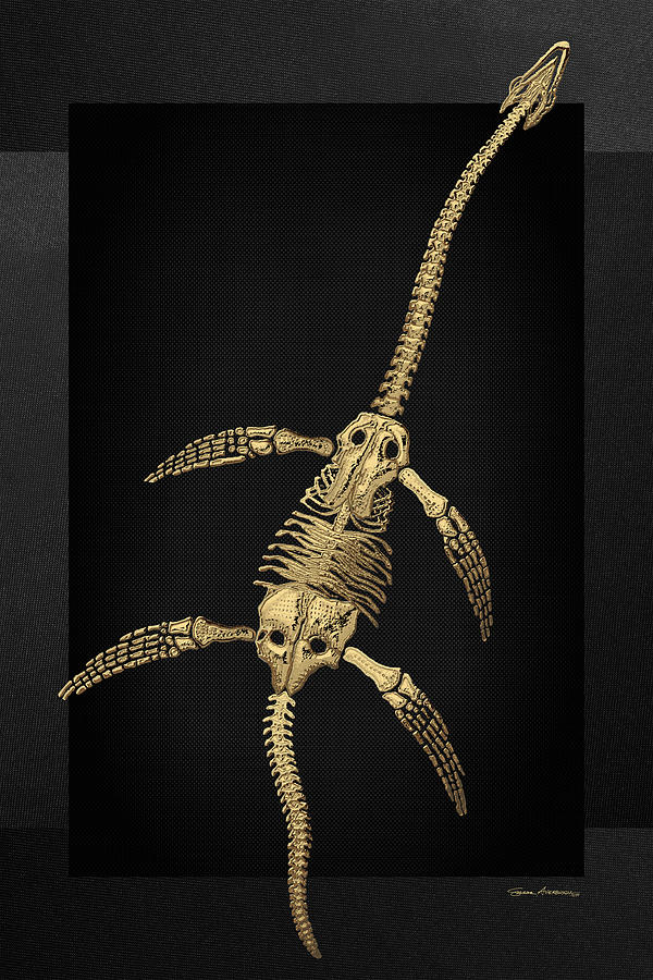 Fossil Record - Gold Plesiosaur Fossil on Black Canvas  Digital Art by Serge Averbukh