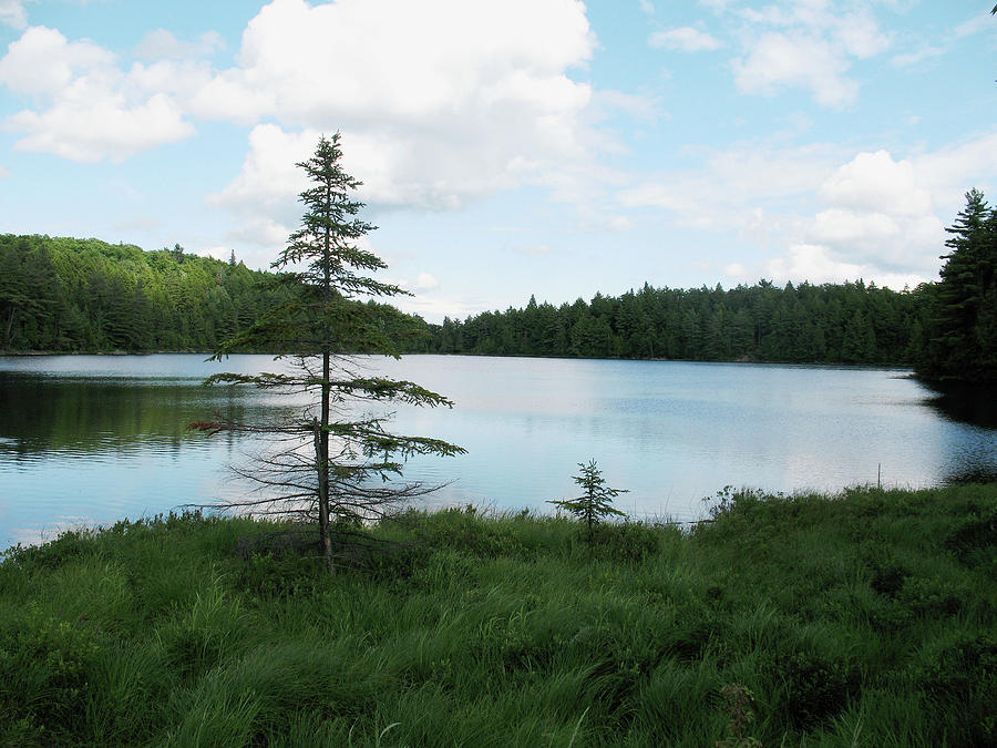 Lake Photograph - Found Lake by Cheryl Dumoulin Lake Photograph - Found Lake by Cheryl Dumoulin